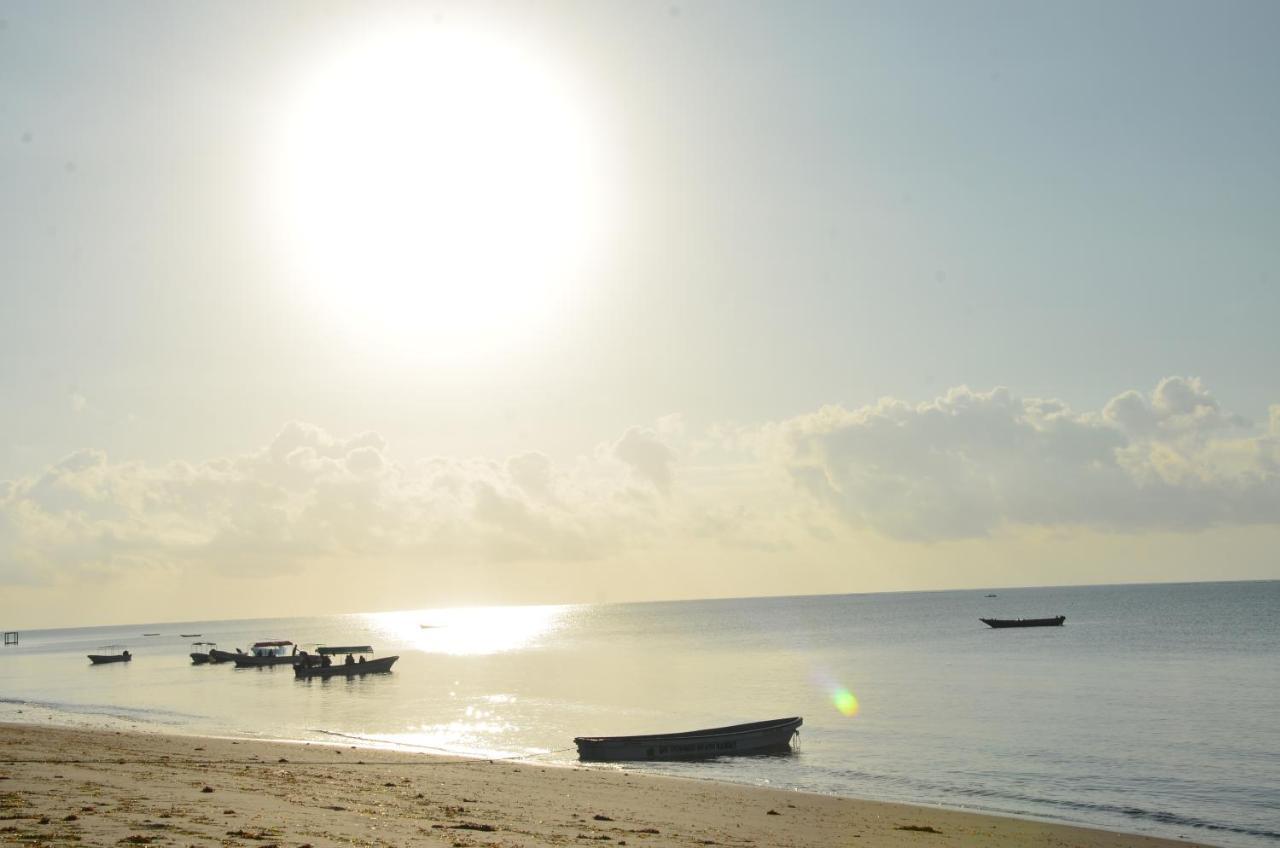 Lui Ushongo Beach House Pangani Exterior photo